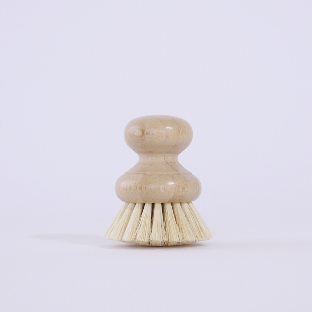 Dish Brush