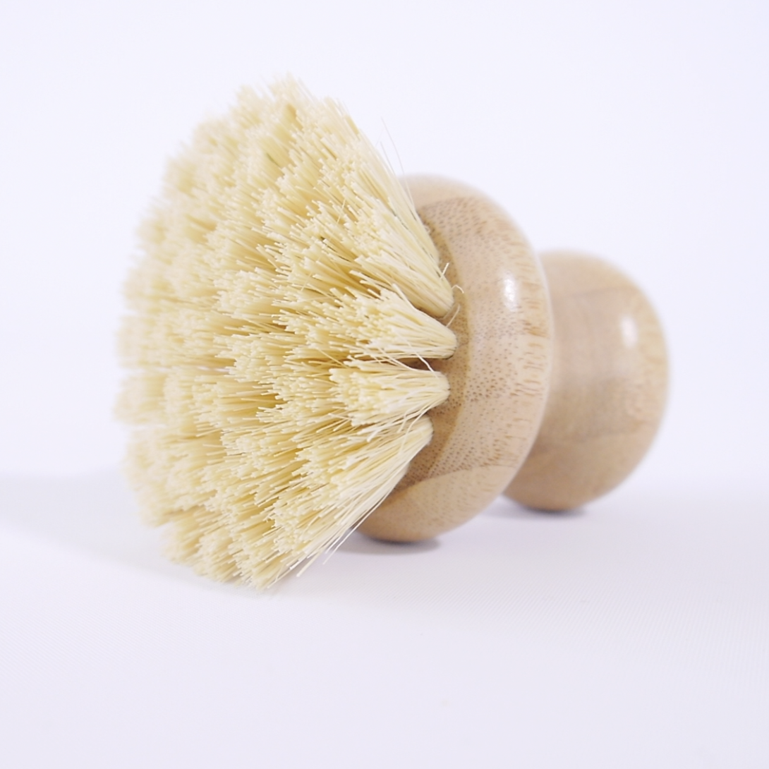 Dish Brush
